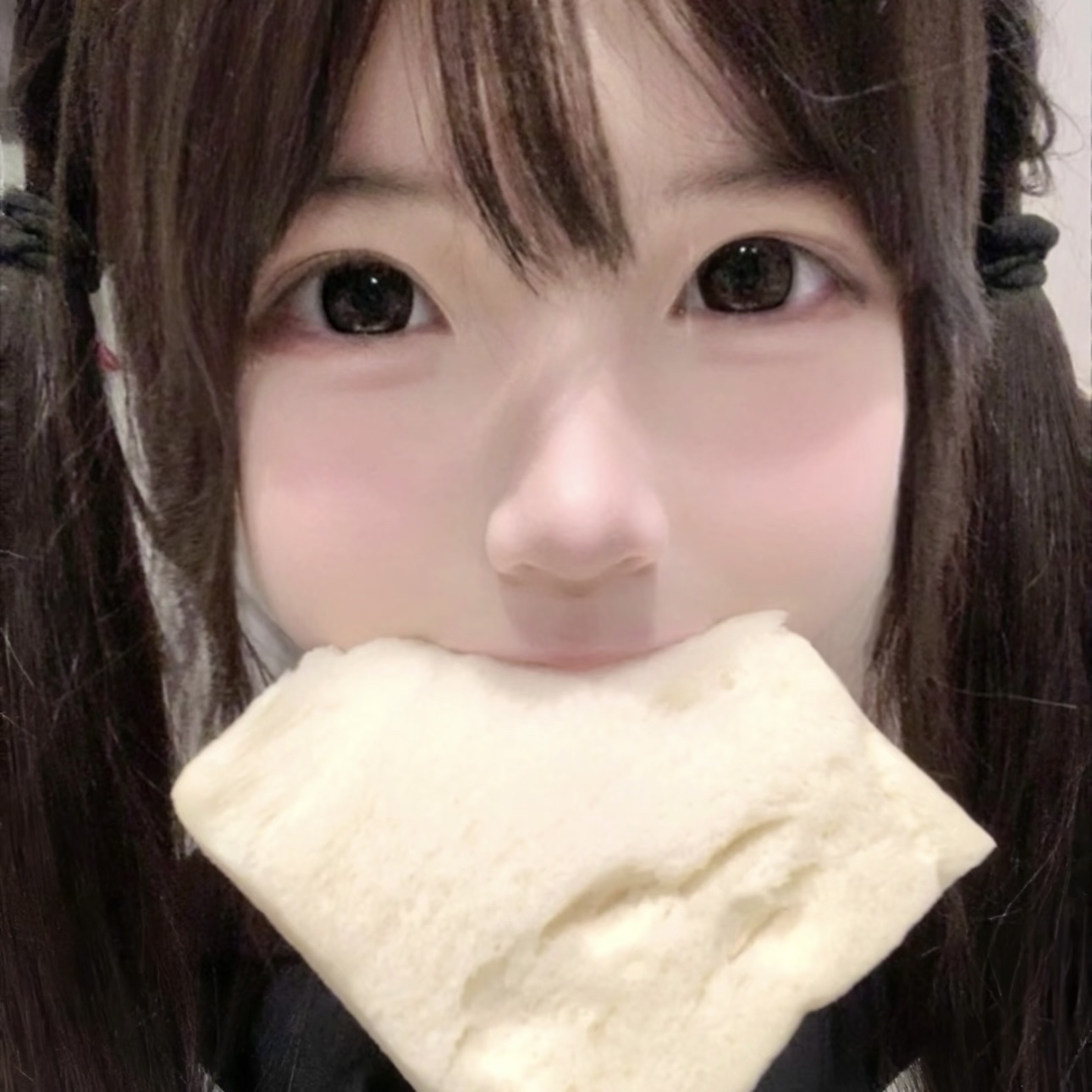 Fancy Ice Cream Cupcakes